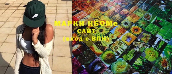 прущие грибы Алзамай