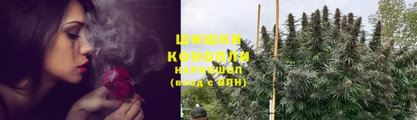 ГАЛЛЮЦИНОГЕННЫЕ ГРИБЫ Алексин