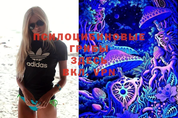 ГАЛЛЮЦИНОГЕННЫЕ ГРИБЫ Алексин