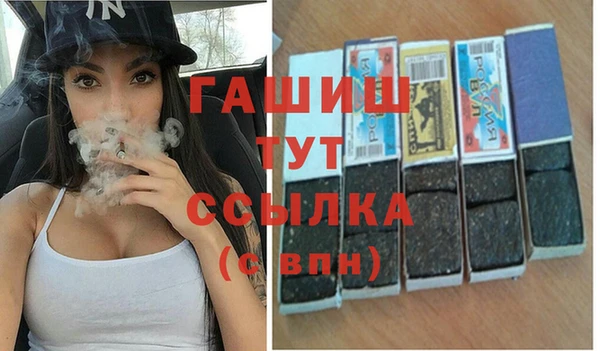 прущие грибы Алзамай