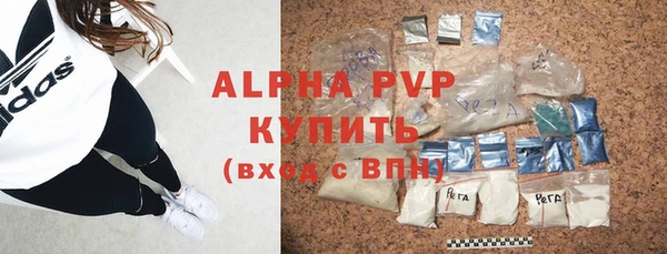 PSILOCYBIN Ростов