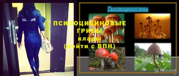 прущие грибы Алзамай