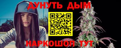 гашик Бийск