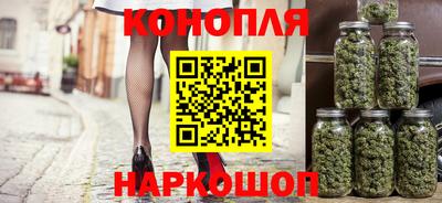 гашик Бийск