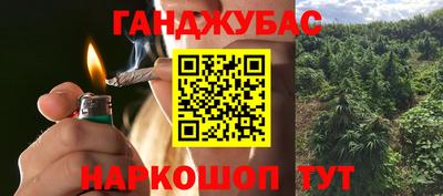 гашик Бийск