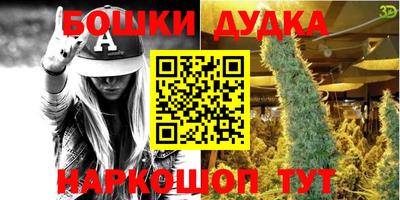 гашик Бийск
