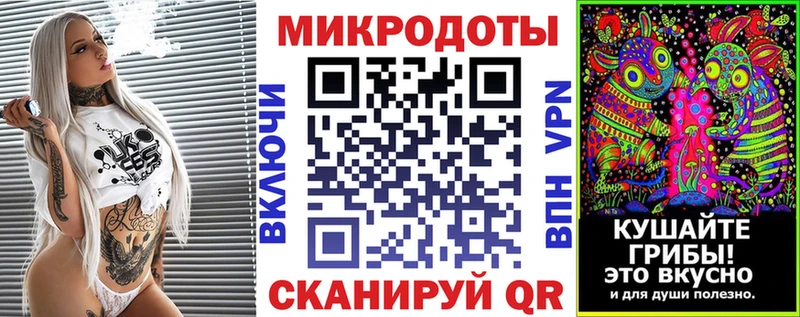 Псилоцибиновые грибы Psilocybine cubensis  Асино 
