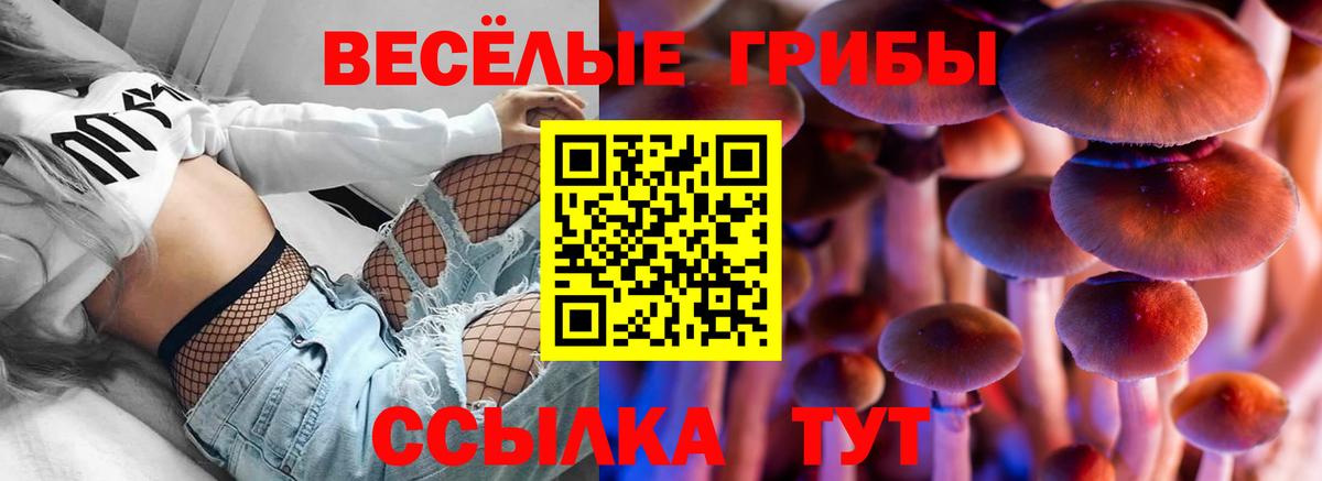 Асино  Галлюциногенные грибы прущие грибы  Вход с VPN 