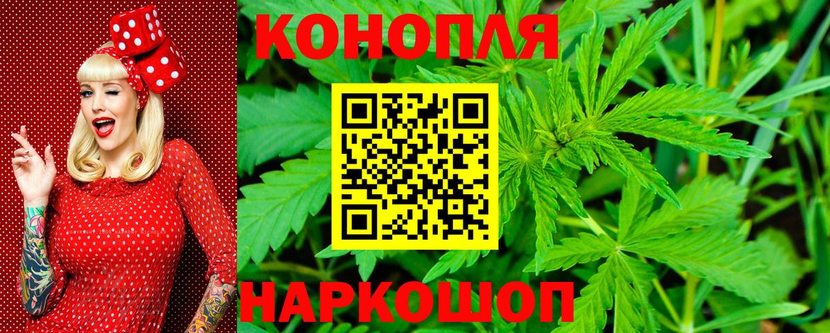 Асино  Каннабис планчик  Вход с VPN  Бошки марихуана LSD WEED  Бошки марихуана тримм 